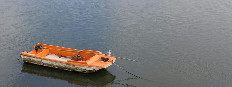 A serene outdoor space suitable for exercise.